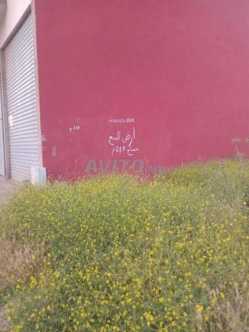 أرض 217م2 منطقة عمارة - 2