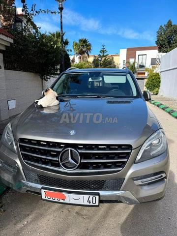 يوسف بن تاشفين طنجة