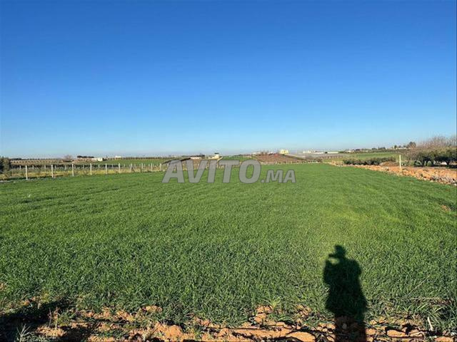 بيع ضيعات وأراضٍ فلاحية محفّظة – إثنين شتوكة - 2