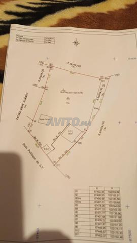 Terrain 2,223 m2, - Zone Villa Ghazoua Essaouira - 2