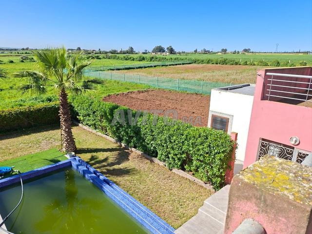 مزرعة للبيع