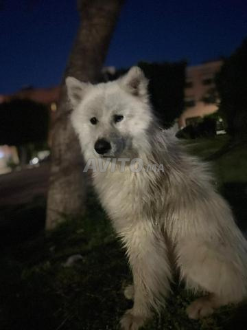 Marrakech Mhamid - 2