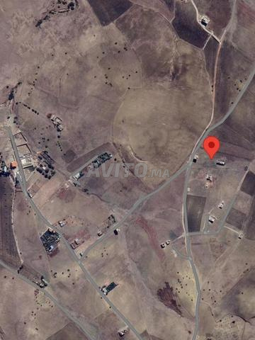 أرض للبيع في المنبر بالعوامة - 2