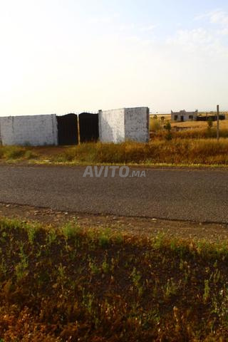 مزرعة على الطريق المعبد - 2