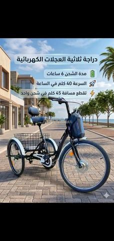 Tricycles électriques - 2