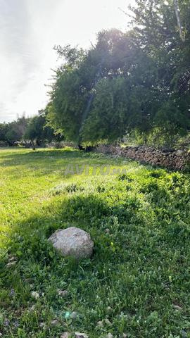 Terrain à vendre 2700m², sans intermédiaire - 2