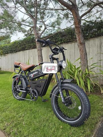 دراجة كهربائية لينك بانك - 2