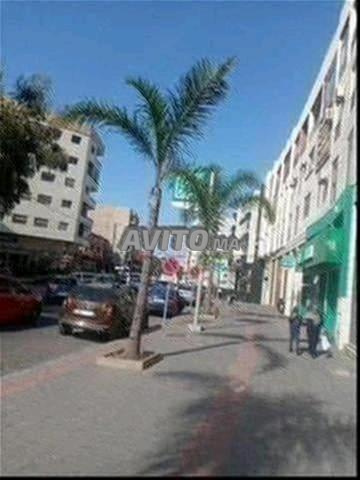 مفروش للنساء والرجال العزاب - 2