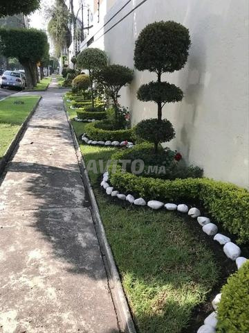 بستنة مراكش - 2