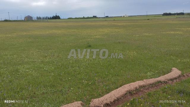 أرض للبيع 6127 متر مربع - 2