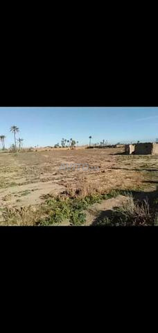 Belle opportunité terrain près Marrakech - 2