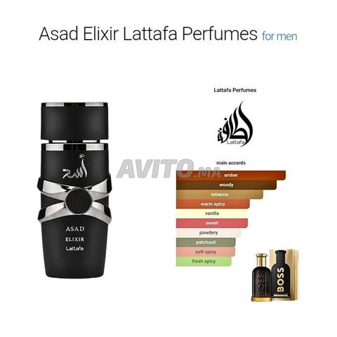 أسد إليكسير من لطافة للعطور 100 مل ماء عطر للرجال