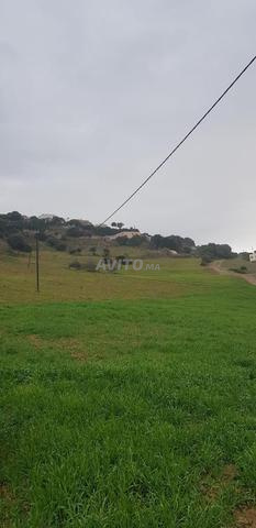 أرض محفظة للبيع - 2