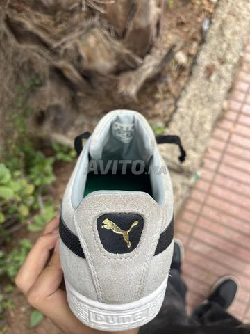 سورديللا بوما - 2