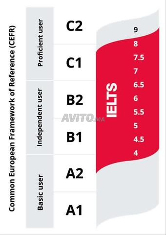 مدرس لغة إنجليزية بولندي - آيلتس - آي بي - 2