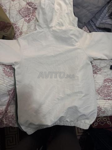 جاكيت لاكوست أصلي - 2