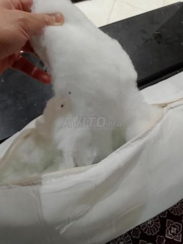 Coussins en coton - 2