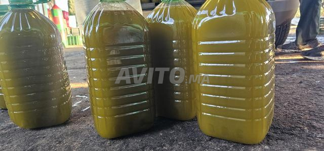 زيت الزيتون الحرة - 2