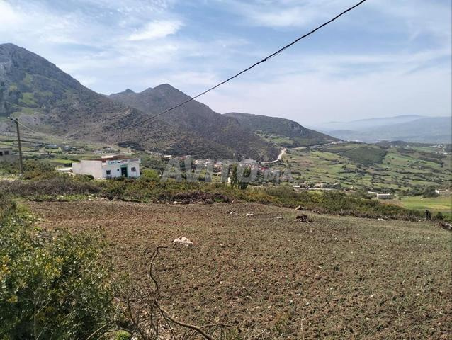 Terrain agricole - 2