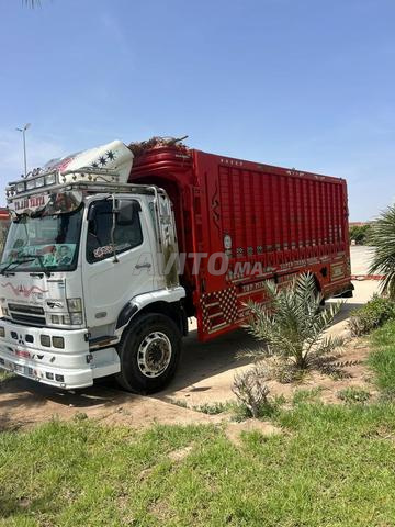 Jument, 10 ans, à vendre - 2