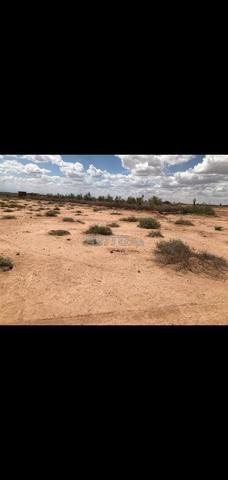 🏡 Terrain 12958 m² proche Marrakech - 2
