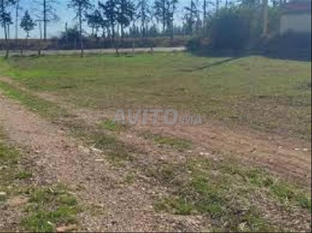 Vente de terrains titrés — Sidi Rahal Plage - 2