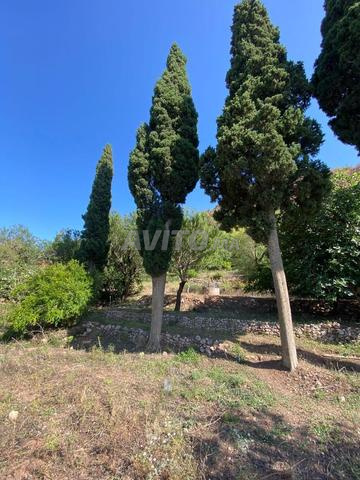 بوعنان- الطوريطا - 2