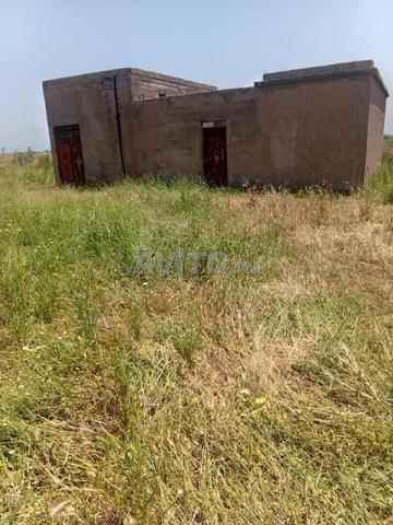 TERRAIN AGRICOLE A VENDRE DE 7 ha - 2