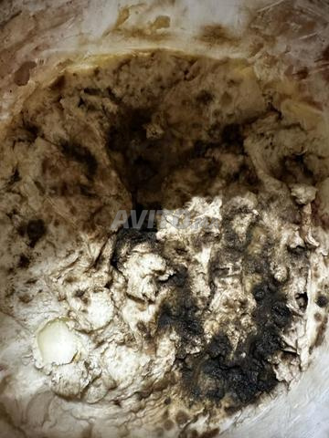 مراكش تمنصورت جميع الجهات - 2