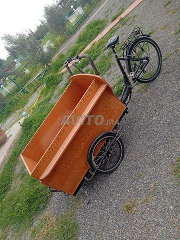 Vélo cargo - 2