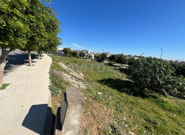 Terrain titré à Tanger – Zone Villas sans intermédiaire 🏡 - 2