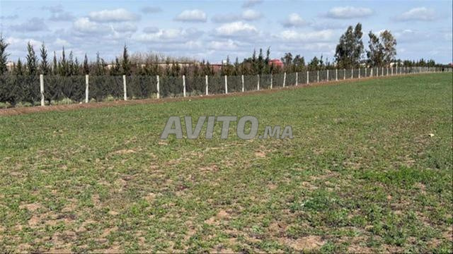 Tnine Chtouka terrain et fermes titres - 2