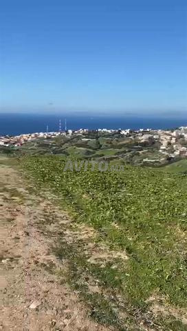 Terrain Exceptionnel à Tanger Vue Mer - 2