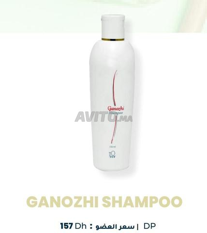 مراكش المحمدي - 2