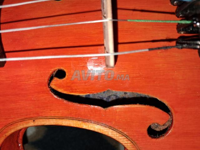 كمان 4/4 - 2