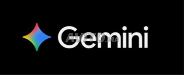 Gemini Pro - 12 Mois