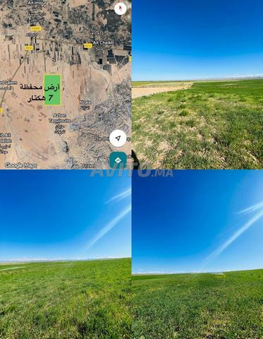 Terrain titré de 7200m² - 2