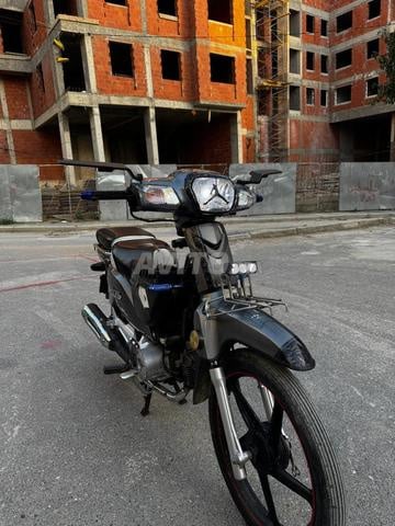 غزاله موديل 2024 - 2