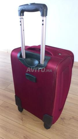 حقيبة MORINCA 10 كجم - 2