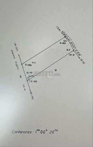 هكتار للبيع منطقة فيلا تاركا - 2