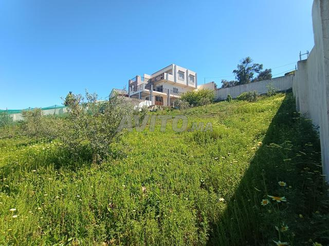 منزل وأرض للبيع - 2