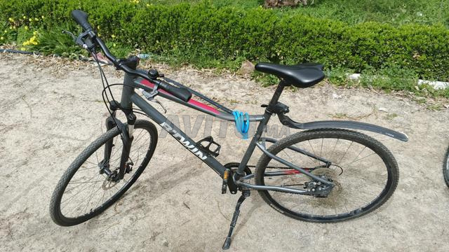 فاس النرجس - 2