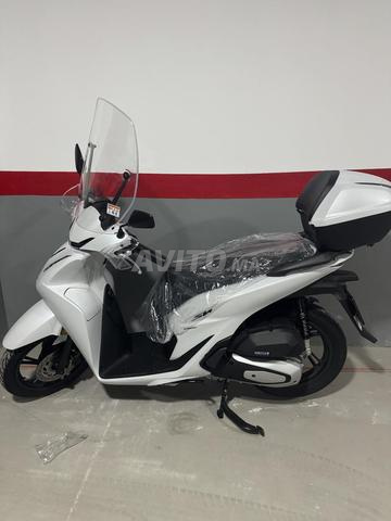 SH 150 موديل 2026 - 2