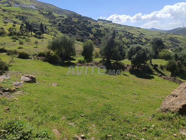 أرض للبيع - 2