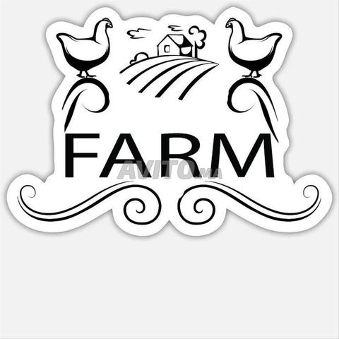 Ferme Complète à louer - 2