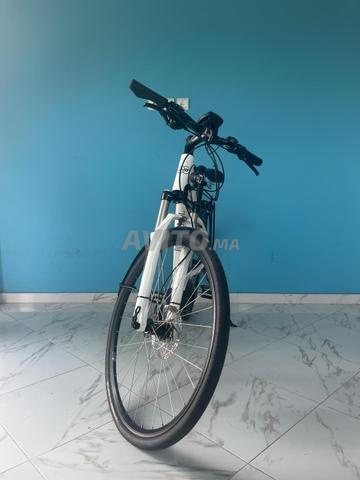 Vélo Électrique Riese & Müller - 2