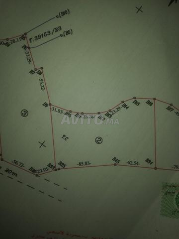 Terrain titré à vendre Douar Lalla Fatna