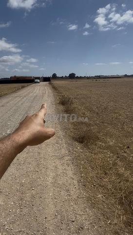 Terrain agricole titre 9400 m2 - 2