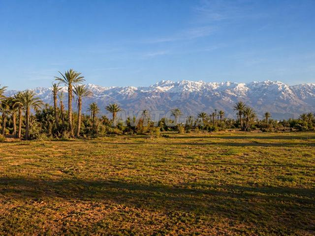 أرض بمساحة 728 متر مربع بإطلالة على الجولف – جولف أكنزا