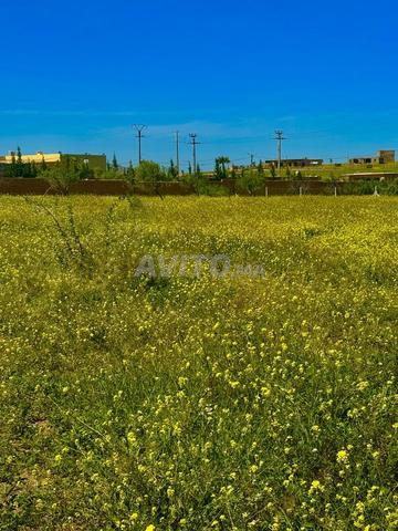 Terrain titré 1500m2 à 7km du grand stade